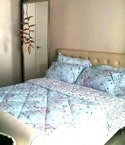 3n Palm Tree Апартаменты Манила